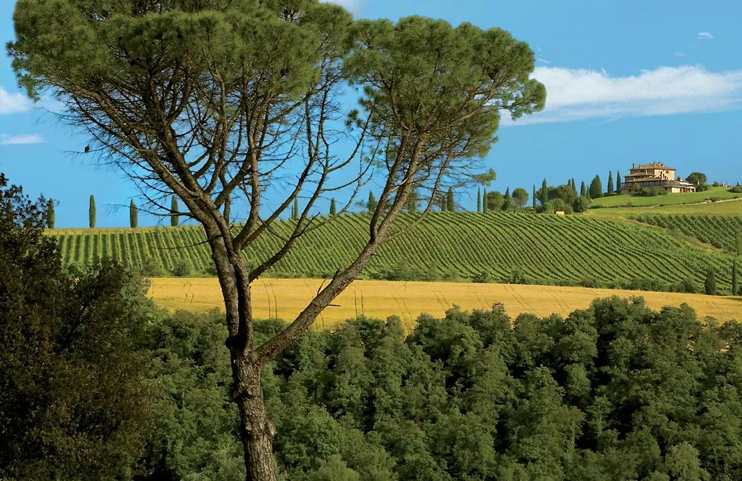 Relais Todini - Residenza d'epoca - Luxury Historic house-1